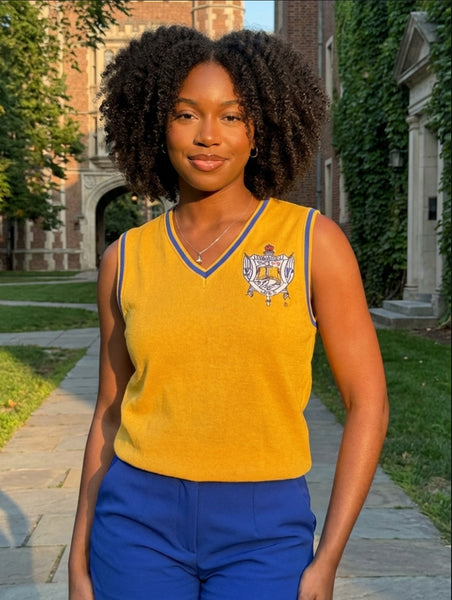 SGRho - V-Neck Vest - Gold – Official Para Connect