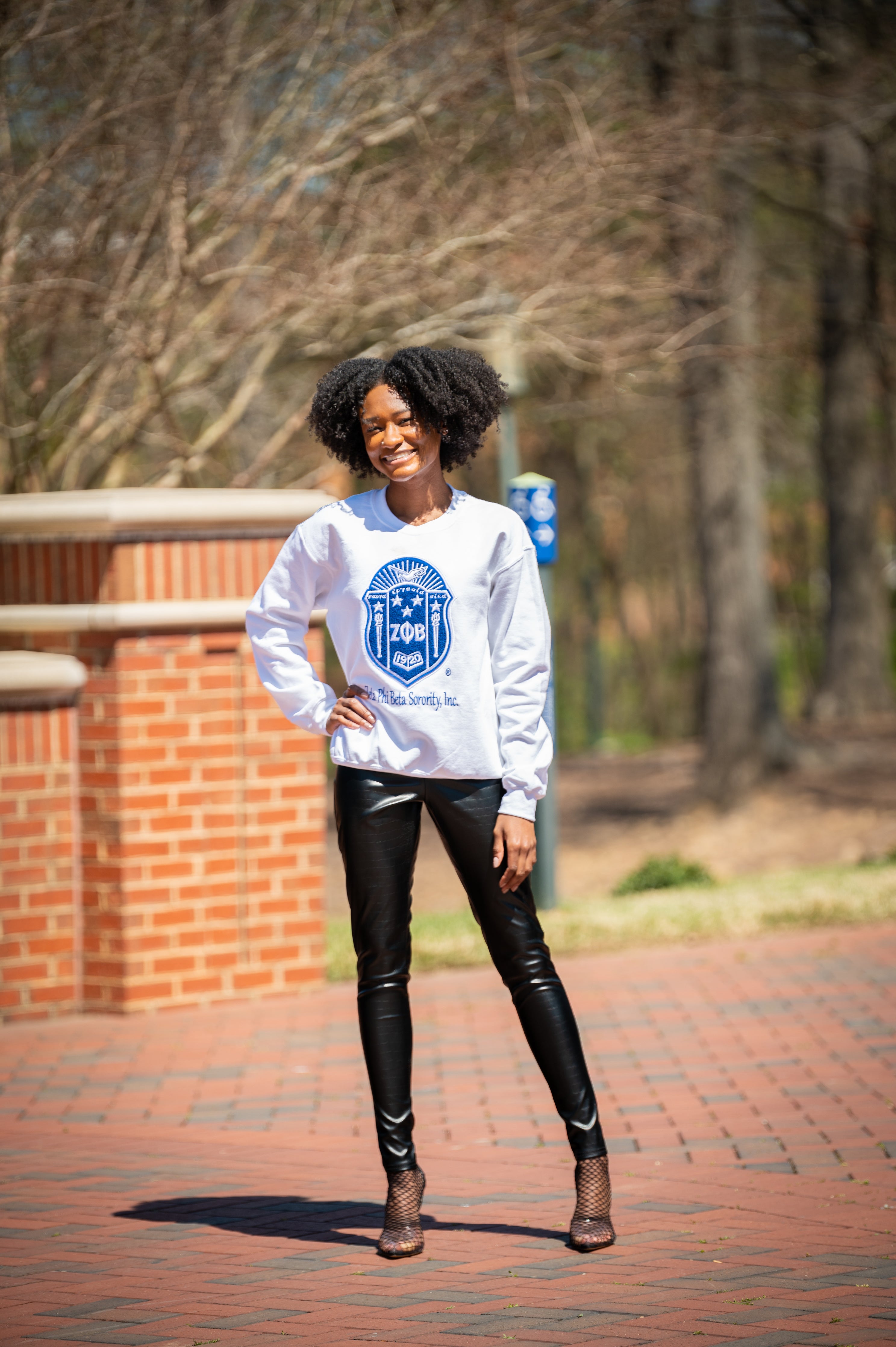 Zeta Chenille Crewnecks – Official Para Connect